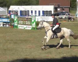 jumper Bacchu.Carlos (Connemara Pony, 2000, from Carna Gold)