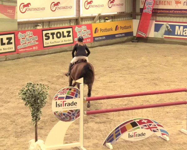 Reitturnier Negernbötel 2021, 11. Nordic Jumping event 2020/2021