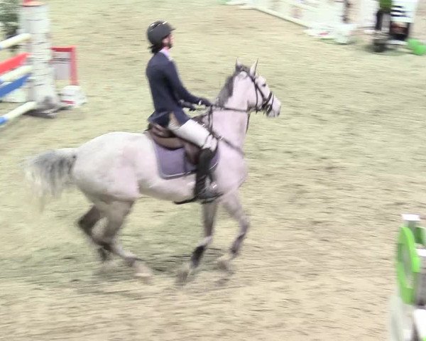 Reitturnier Negernbötel 2021, 11. Nordic Jumping event 2020/2021