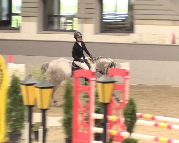 Reitturnier Luhmühlen 2021