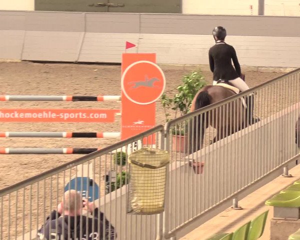 Reitturnier Luhmühlen 2021