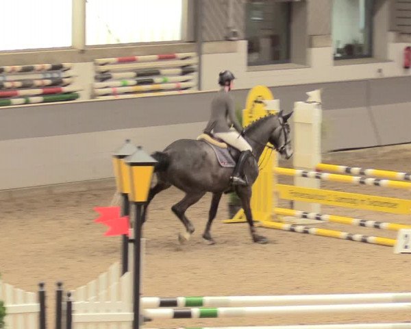 Reitturnier Luhmühlen 2021