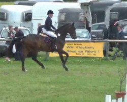 broodmare Tea Time (Holsteiner, 2003, from Carry)