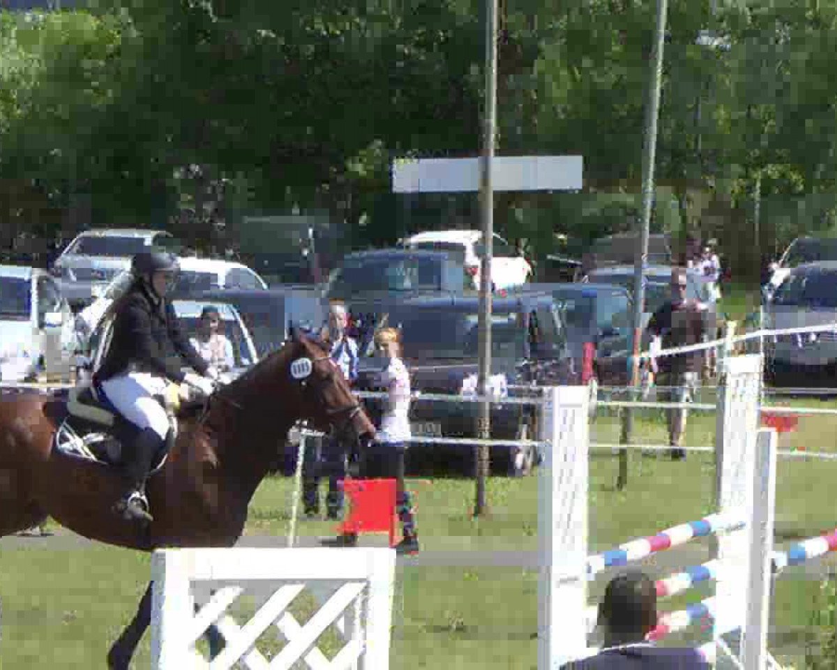 broodmare Wencke I (Holsteiner, 2006, from Cristo)