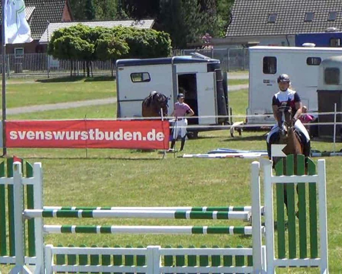 horse Lärche CR (Holsteiner, 2007, from Landos)