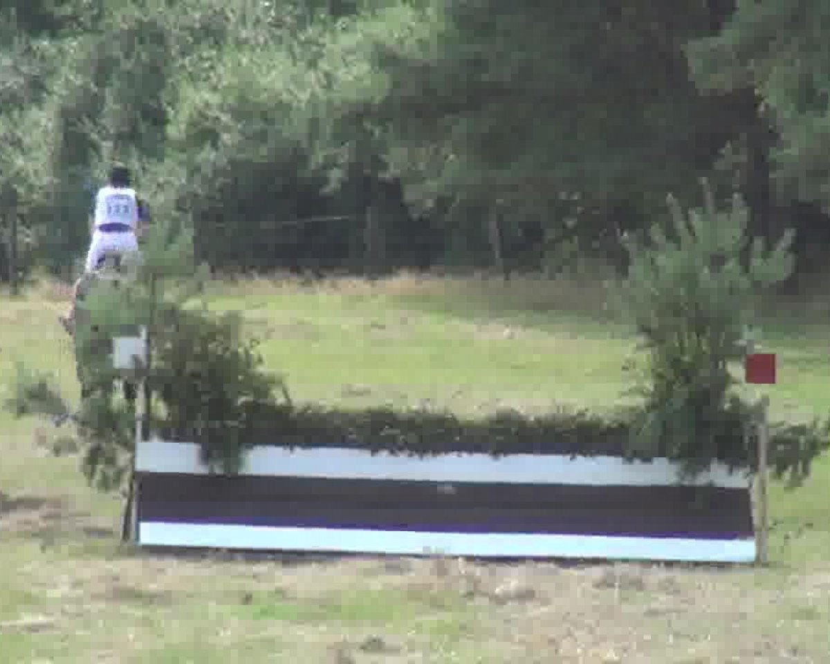 Springpferd Calle Cool 9 (Holsteiner, 2006, von Contender)