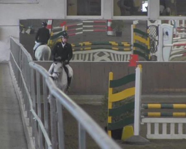 dressage horse Charly B (Holsteiner, 2001, from Cascavelle)