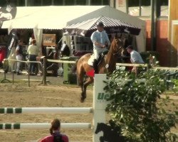 jumper Corsanto (Holsteiner, 2002, from Camposanto)