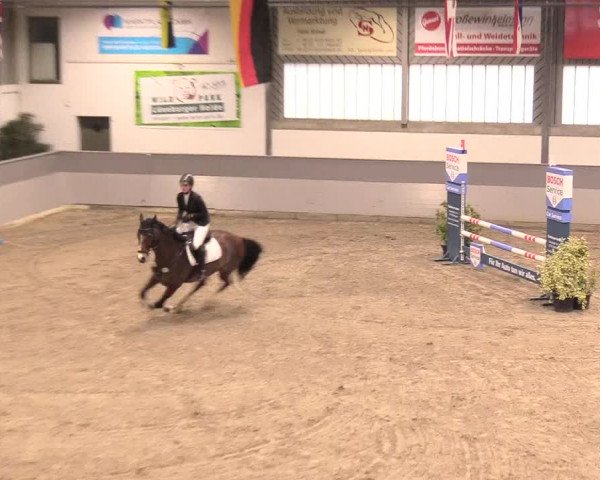 Reitturnier Luhmühlen 2021