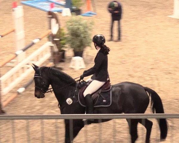 Reitturnier Luhmühlen 2021