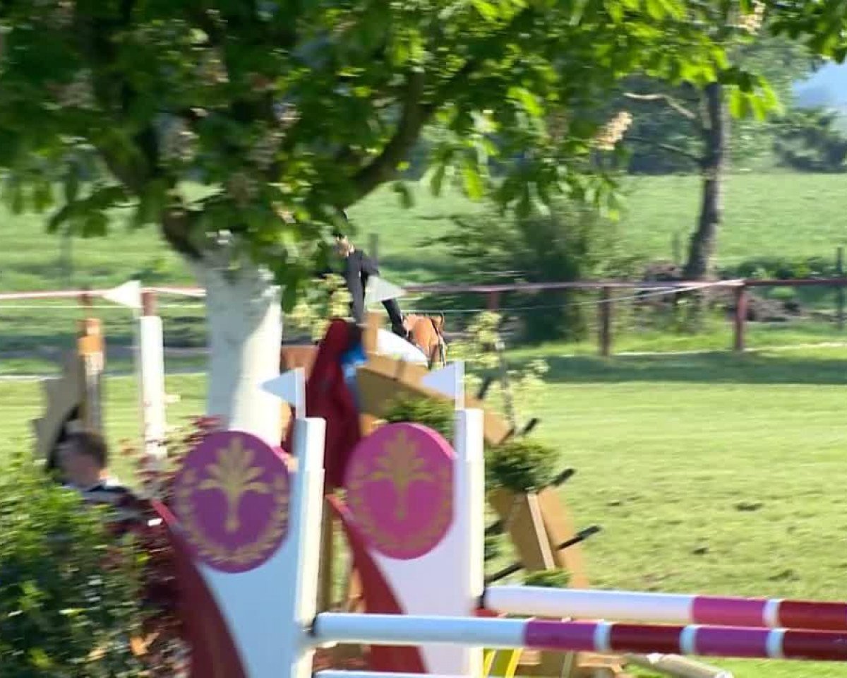 Springpferd Carina Rouge (Oldenburger Springpferd, 2005, von Carinue)