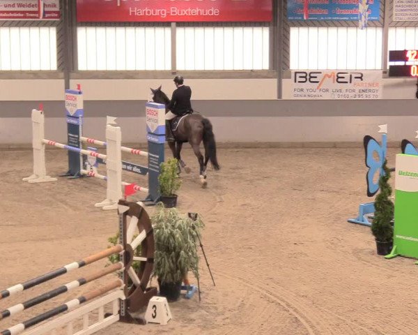 Reitturnier Luhmühlen 2021
