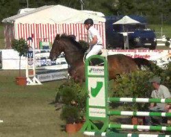 broodmare Miss Oldenburg N (Oldenburg show jumper, 2006, from Chicago Z)