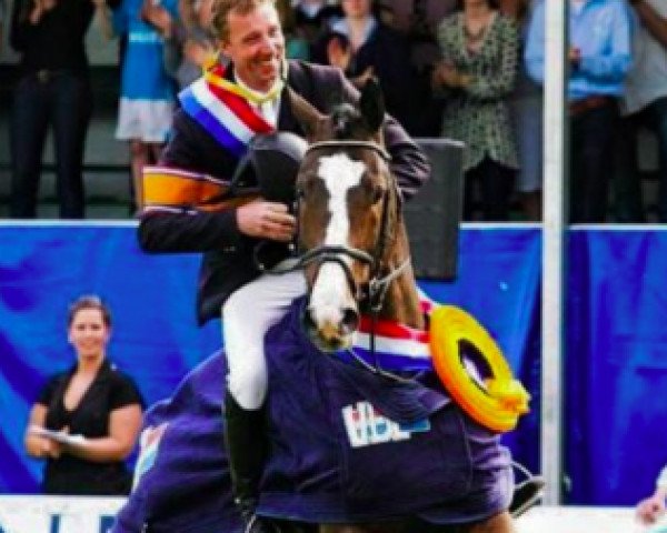 stallion VDL Emmerton (KWPN (Royal Dutch Sporthorse), 1998, from Emilion)
