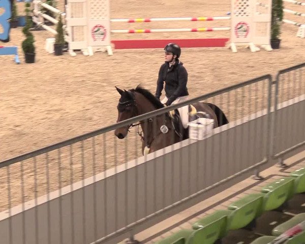 Reitturnier Luhmühlen 2021