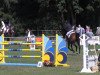 broodmare Balou's Lady (Oldenburg show jumper, 2005, from Balou du Rouet)