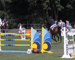 broodmare Balou's Lady (Oldenburg show jumper, 2005, from Balou du Rouet)