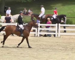 jumper Crossfire 17 (Oldenburg show jumper, 2005, from Carinue)