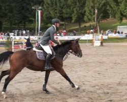 broodmare Balouette 4 (Oldenburg show jumper, 2006, from Balou du Rouet)