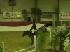 jumper Lets Quick (Oldenburg show jumper, 2002, from Landor S)