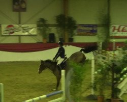 jumper Lets Quick (Oldenburg show jumper, 2002, from Landor S)