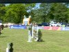 jumper Catibo M (Oldenburg show jumper, 2006, from Catoki)