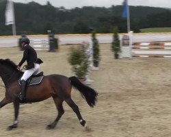 jumper Celena 4 (Oldenburg show jumper, 2007, from Cellestial)