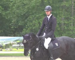 broodmare Dietrich Theater's Zarina (Oldenburg show jumper, 2006, from Zatinus)