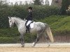 dressage horse Manilo (unknown, 2005)