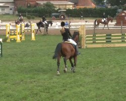 jumper Sir Urmel (German Warmblood, 2004, from Slibovitz)