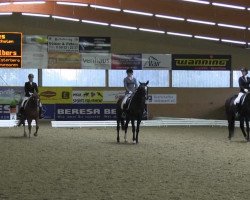 dressage horse Amy Macdonald (German Warmblood, 2002, from All Pleasur)