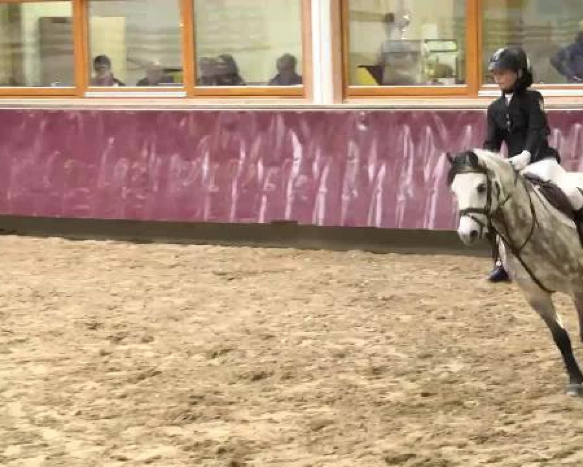 Dressurpferd Kienbergs Aron (Welsh Pony (Sek.B), 2003, von Breeton Bric)