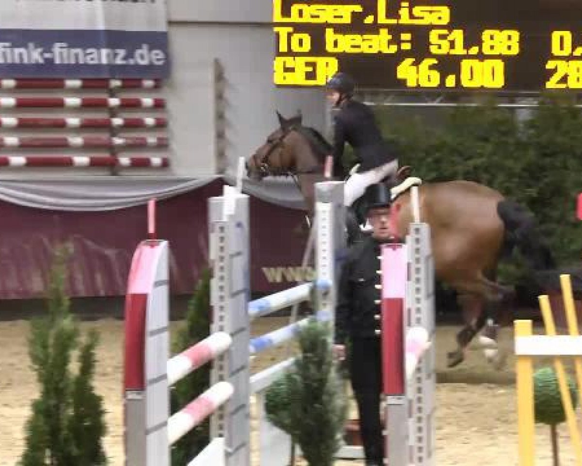 jumper Henkel's - Concorde (German Warmblood, 2003, from Corde Lamour)