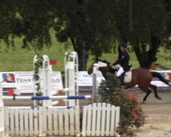 jumper Chira (German Sport Horse, 2005, from Chiro)