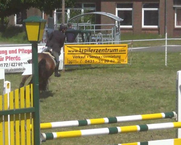 jumper Ladarka (German Warmblood, 2005, from L Avian)