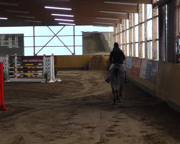 Reitturnier Pausin 2021