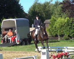 dressage horse Laprimero NL (German Warmblood, 2005, from Don Primero)