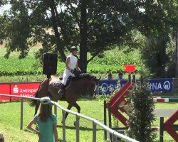 jumper Offa Cr (German Warmblood, 2007, from Orlando van de Heffinck)