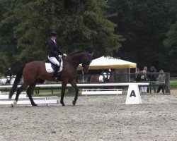 dressage horse Sir Rico (Trakehner, 2007, from Manrico)