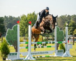 jumper Keep Cool M 3 (Oldenburg show jumper, 2017, from Kannan)