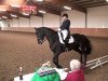 dressage horse El Gardo (Trakehner, 2004, from Kasparow)