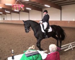 dressage horse El Gardo (Trakehner, 2004, from Kasparow)