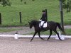 dressage horse Patrizia 71 (Trakehner, 2004, from K2 T)