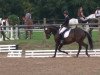 dressage horse Shirinus (Trakehner, 2007, from Buddenbrock)