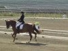 dressage horse Heaven Blue M (Trakehner, 2000, from Amelio)