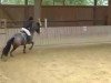 jumper Look at Latex (Trakehner, 2000, from Amelio)