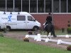 dressage horse Just Unforgetable Fire (KWPN (Royal Dutch Sporthorse), 2001, from Jazzman)