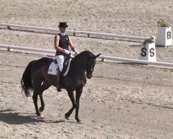 dressage horse Gregori 4 (Ukrainisches riding horse, 2001, from Egejus)