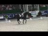 dressage horse Martini (Polish Warmblood, 2001, from Deryl)