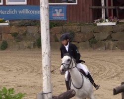 jumper Banette (Belgian Warmblood, 2001, from Indian Gold van Castershoeve)